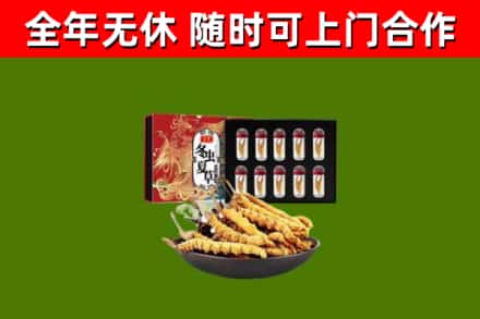 青海省烟酒回收冬虫夏草礼盒.jpg